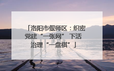洛阳市偃师区：织密党建“一张网” 下活治理“一盘棋”