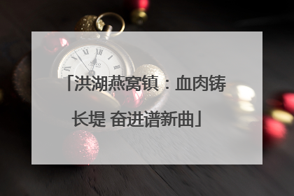洪湖燕窝镇：血肉铸长堤 奋进谱新曲