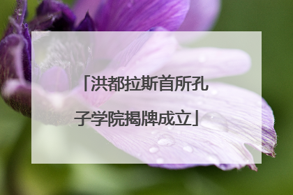 洪都拉斯首所孔子学院揭牌成立