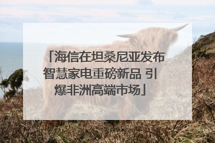 海信在坦桑尼亚发布智慧家电重磅新品 引爆非洲高端市场