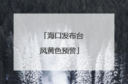 海口发布台风黄色预警