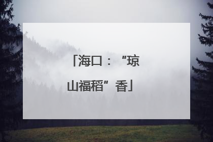 海口：“琼山福稻”香