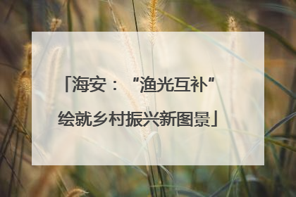 海安：“渔光互补” 绘就乡村振兴新图景