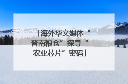 海外华文媒体“晋南粮仓”探寻“农业芯片”密码
