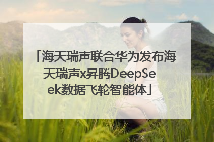 海天瑞声联合华为发布海天瑞声x昇腾DeepSeek数据飞轮智能体