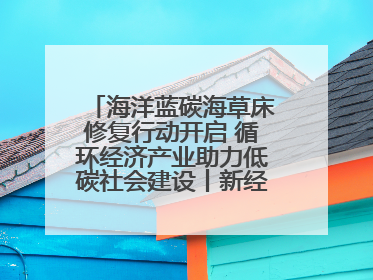 海洋蓝碳海草床修复行动开启 循环经济产业助力低碳社会建设丨新经济观察