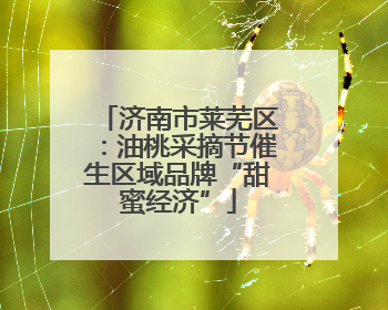 济南市莱芜区：油桃采摘节催生区域品牌“甜蜜经济”