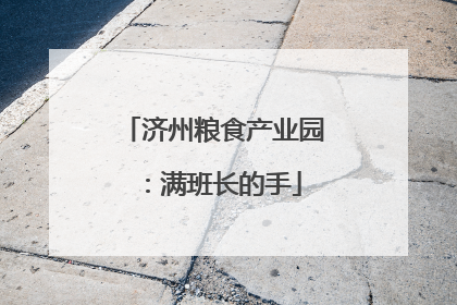 济州粮食产业园：满班长的手