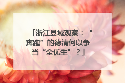 浙江县域观察：“奔跑”的德清何以争当“全优生”？