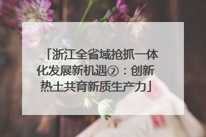浙江全省域抢抓一体化发展新机遇②：创新热土共育新质生产力
