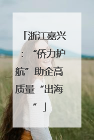 浙江嘉兴：“侨力护航”助企高质量“出海”