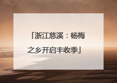 浙江慈溪：杨梅之乡开启丰收季