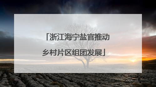 浙江海宁盐官推动乡村片区组团发展