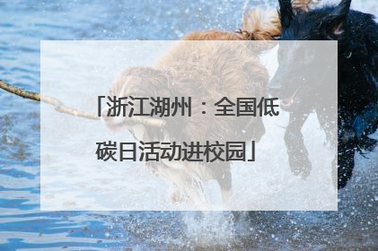 浙江湖州：全国低碳日活动进校园