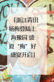 浙江青田杨梅登陆上海豫园 盛夏“梅”好盛宴开启