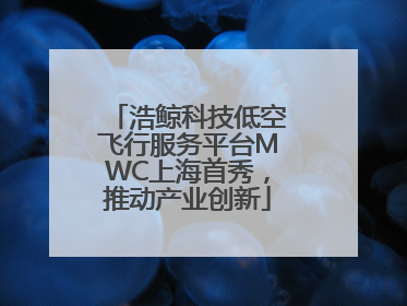 浩鲸科技低空飞行服务平台MWC上海首秀，推动产业创新