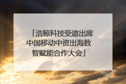 浩鲸科技受邀出席中国移动中资出海数智赋能合作大会