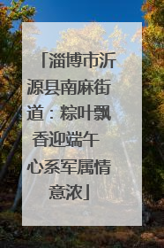 淄博市沂源县南麻街道：粽叶飘香迎端午 心系军属情意浓