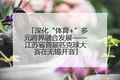 深化“体育+”多元跨界融合发展——江苏省首届匹克球大赛在无锡开赛