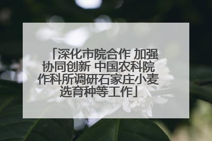深化市院合作 加强协同创新 中国农科院作科所调研石家庄小麦选育种等工作