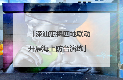 深汕惠揭四地联动开展海上防台演练
