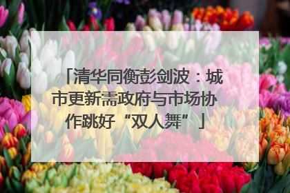 清华同衡彭剑波：城市更新需政府与市场协作跳好“双人舞”
