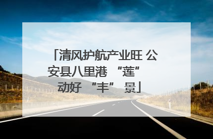 清风护航产业旺 公安县八里港 “莲” 动好 “丰” 景