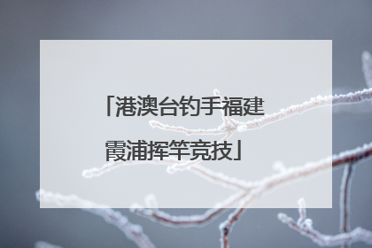 港澳台钓手福建霞浦挥竿竞技
