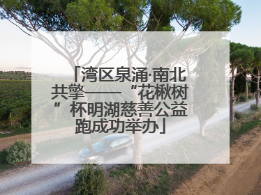 湾区泉涌·南北共擎——“花楸树”杯明湖慈善公益跑成功举办