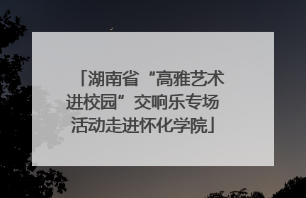 湖南省“高雅艺术进校园”交响乐专场活动走进怀化学院