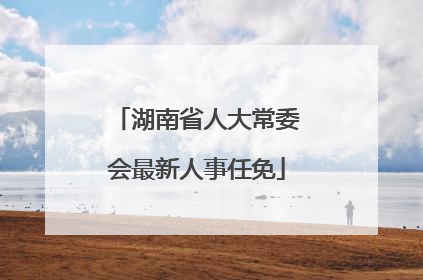 湖南省人大常委会最新人事任免