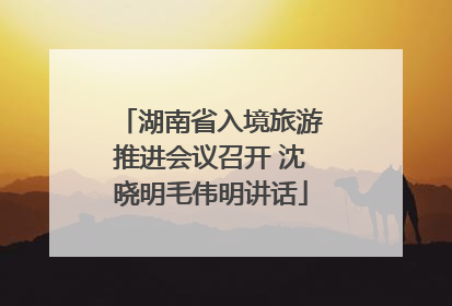 湖南省入境旅游推进会议召开 沈晓明毛伟明讲话