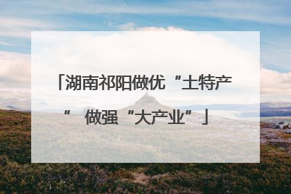 湖南祁阳做优“土特产” 做强“大产业”