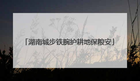 湖南城步铁腕护耕地保粮安