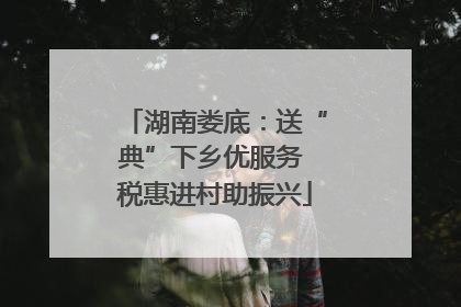 湖南娄底：送“典”下乡优服务 税惠进村助振兴