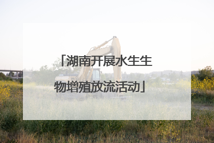湖南开展水生生物增殖放流活动