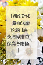 湖南新化：暴雨突袭 多部门连夜清障排涝保高考路畅