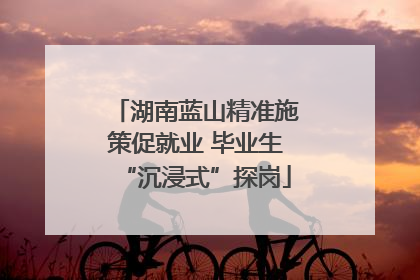 湖南蓝山精准施策促就业 毕业生“沉浸式”探岗
