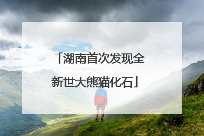 湖南首次发现全新世大熊猫化石