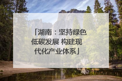 湖南：坚持绿色低碳发展 构建现代化产业体系