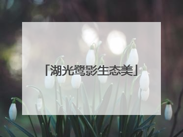 湖光鹭影生态美