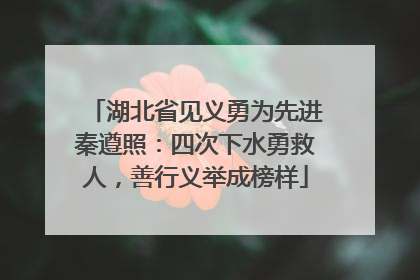 湖北省见义勇为先进秦遵照：四次下水勇救人，善行义举成榜样