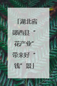 湖北省郧西县“花产业”带来好“钱”景