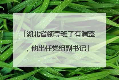 湖北省领导班子有调整，他出任党组副书记