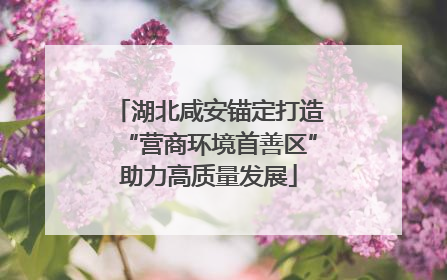 湖北咸安锚定打造“营商环境首善区”助力高质量发展