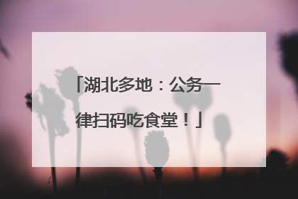 湖北多地：公务一律扫码吃食堂！