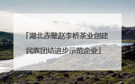 湖北赤壁赵李桥茶业创建民族团结进步示范企业