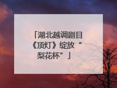 湖北越调剧目《顶灯》绽放“梨花杯”