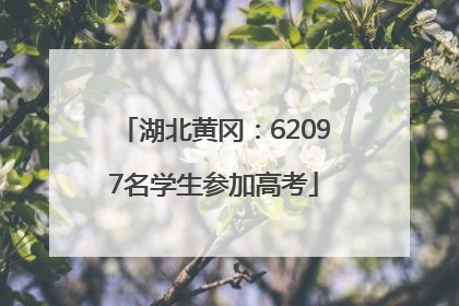湖北黄冈：62097名学生参加高考