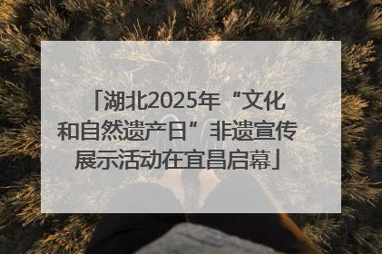 湖北2025年“文化和自然遗产日”非遗宣传展示活动在宜昌启幕